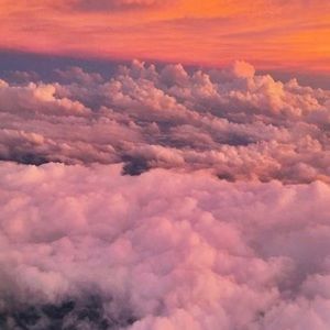 Meet your Posher, Lydia